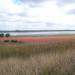 Bool Lagoon Games Reserve