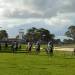 Penola Race Day